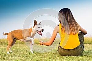 Woman with her dog sitting on the grass and exchanges tenderness