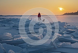 Woman and her dog are tourists in the background of Beautiful sunset arctic landscape with transparent hummocks and ice cracks in
