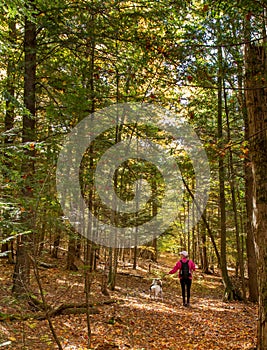 Woman and her dog walking through the forest