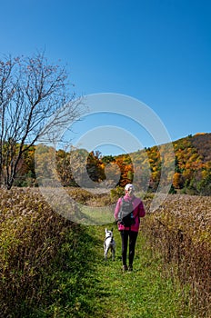 Woman and her dog walking through the forest