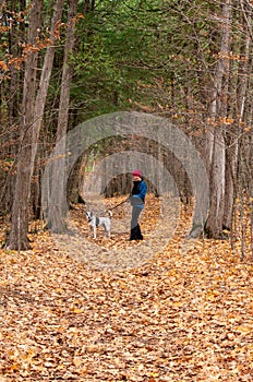 Woman and her dog walking through the forest