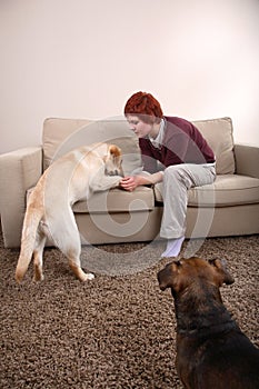 A Woman And Her Dogs