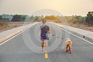 Woman with her golden retriever dog walking on the public road