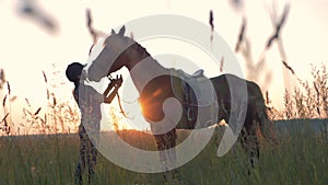 Woman with her horse on a sunset background.