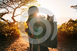 Woman with her lovely cat in backpack at sunset. Travel with pets. Hike with cat