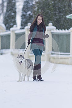 Woman and Her Lovely Husky Dog Taking a Stroll Together
