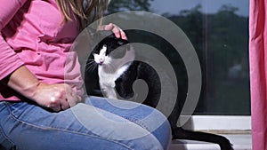 Woman and her pet cat relaxing in window