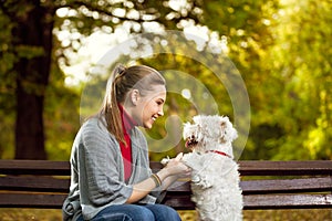 Woman with her puppy in park photo