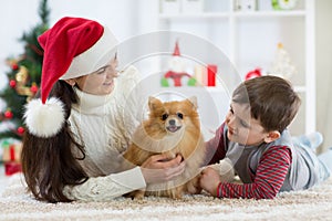 Woman and her son celebrating christmas with furry friend. Mother and kid with terrier dog. Pretty child boy with puppy