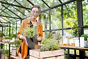 Woman with herbs and flowers in the greenhouse