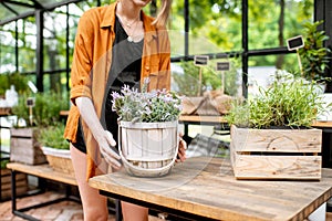 Woman with herbs and flowers in the greenhouse