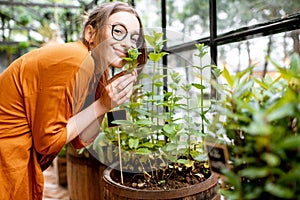 Woman with herbs and flowers in the greenhouse