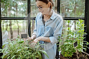 Woman with herbs and flowers in the greenhouse