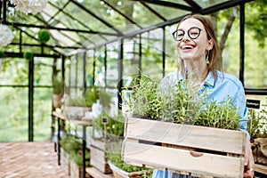 Woman with herbs in the greenhouse