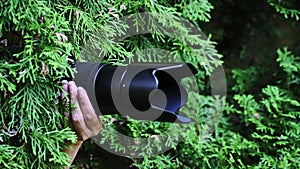A woman hiding in the bushes takes pictures with a camera and spies on others