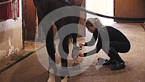 Woman with high ponytail putting on a harness on the horse legs