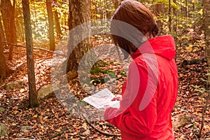 Woman hiker checking a map on a forest path in autumn