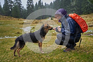 Woman hiker feeding a stray dog