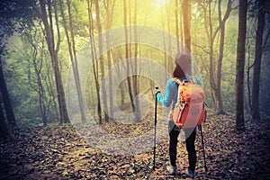 Woman hiker hiking in spring foggy forest trail