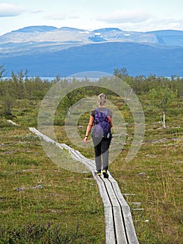 Woman Hiker on the Kungsleden trail, Abisko National Park, Sweden, Europe