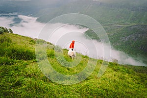 Woman hiker posing on mountain in norway in rainy weather near sheep. Tourist and cattle on clearing in a mountain area in the