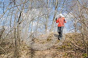 Woman hiker with scandinavian sticks walks at sunset