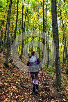 Woman hiker walking on forest path