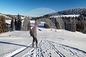 Žena tramp chôdza po snehu v zimnej krajine