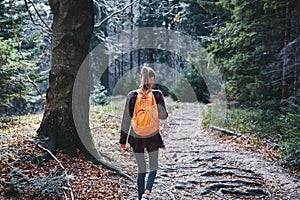 Woman hiker walking on the trail in the woods. Back view.