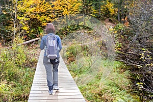 Woman hiker on a walkway along a forest trail