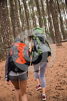 Woman hikers lend a hand helping friend