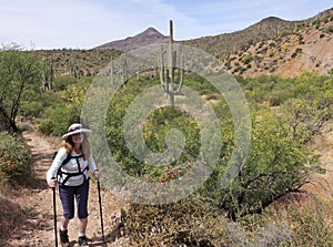 A Woman Hikes in Spur Cross Ranch Conservation Area