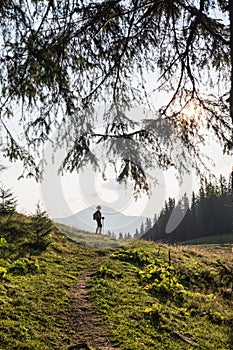 Woman hiking with backpack and trekking poles. Ukrainian Carpathian mountains with Hoverla on background