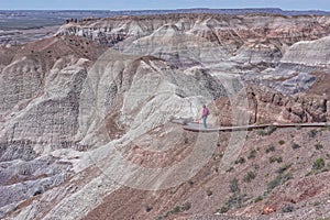 Woman Hiking Blue Mesa At The Petrified Forest