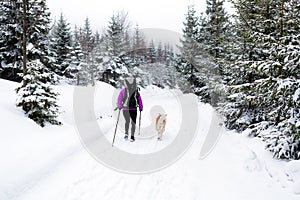 Woman hiking with dog, Karkonosze Mountains, Poland