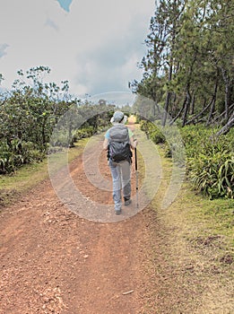 Woman hiking in the forest