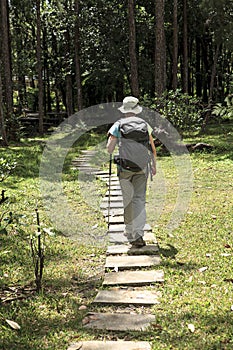 Woman hiking in the forest