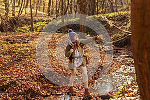 Woman hiking in the forest on sunny autumn day