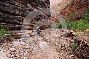 Woman hiking in Hance Creek in the Grand Canyon.