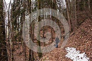 A woman hiking with her dog through a forest in the Bavarian mountains