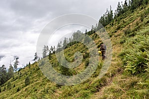 Woman hiking with her dog in the High Tauern National Park