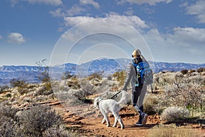 Woman hiking with her dog in the scenic rocky Mountains.