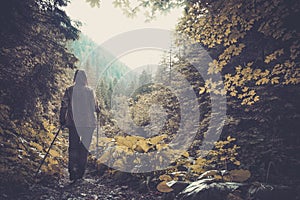 Woman hiking in mountain forest