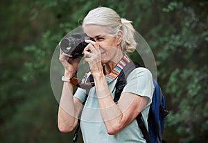 Woman, hiking and photography with camera in nature, outdoor or green environment. Female hiker, tourist and travel