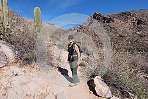 Woman hiking the Pima Canyon Trail, Arizona.