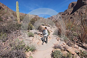 Woman hiking the Pima Canyon Trail, Arizona.