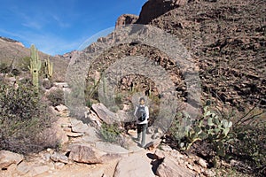 Woman hiking the Pima Canyon Trail, Arizona.