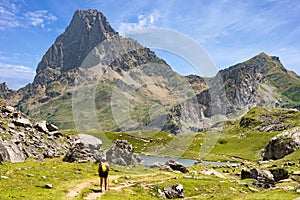 Woman hiking in the Pyrenees mountains