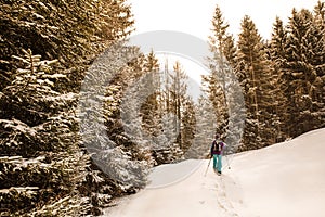 Woman is hiking with snowshoes on snow trail in winter landscape of forest in Oberstdorf, Bavaria Alps in South of Germany. photo