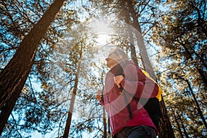 Woman hiking in a southern forest amidst tall pine trees